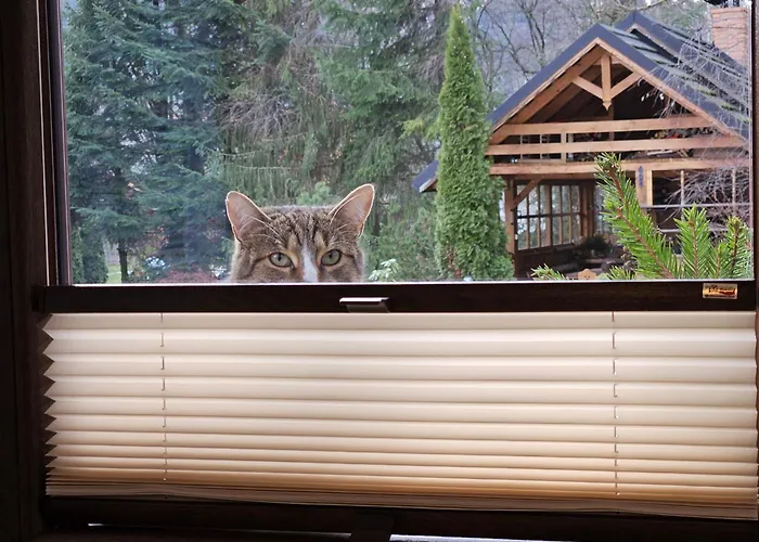 Cicha Dolina * Jurgów